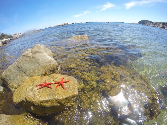 Cala S'Alguer