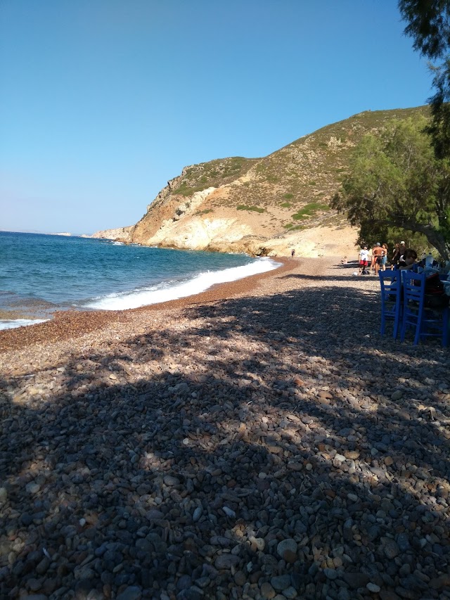 FISH TAVERN LAMPI