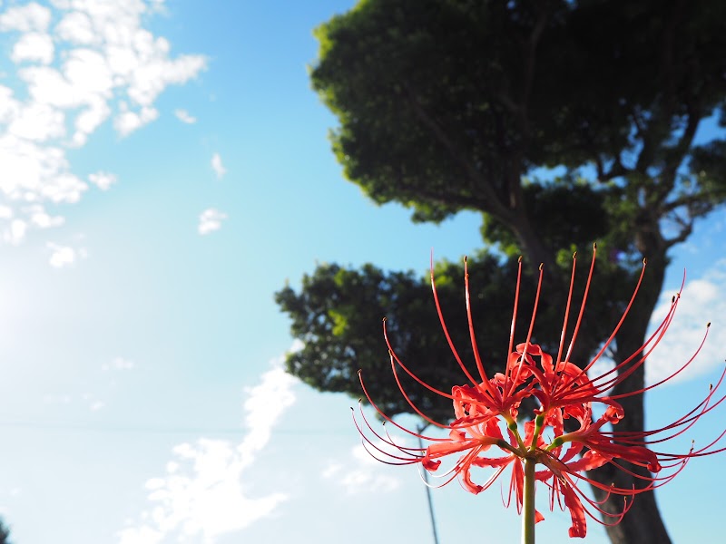 お墓用品と石材工具のイシケン