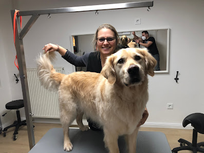 Bild: FLOTTDOGS Hund