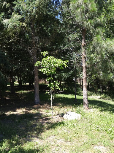 Wagner Creek Park - Thumbnail