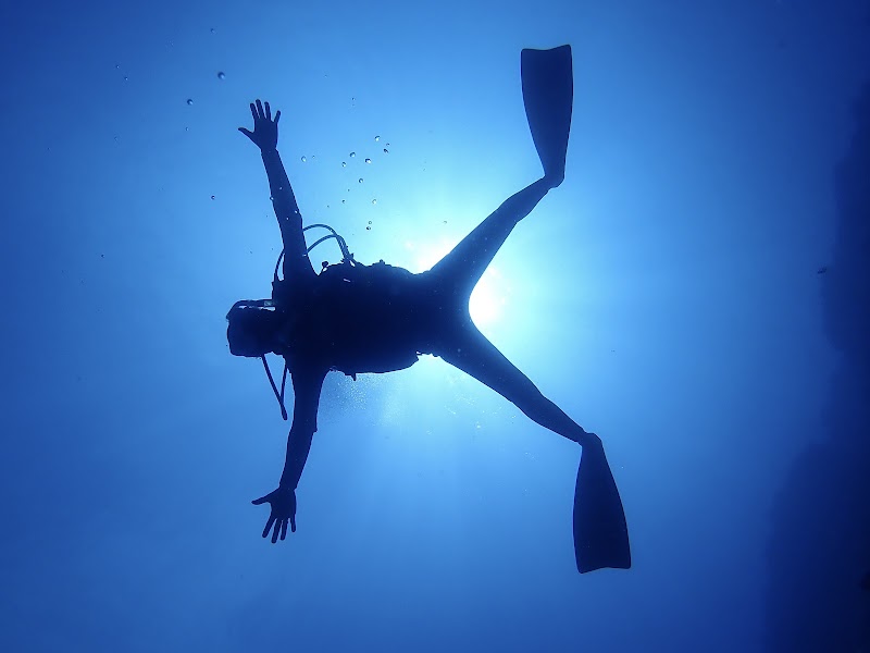 石垣島マリンサービス 結咲（ゆいさー）