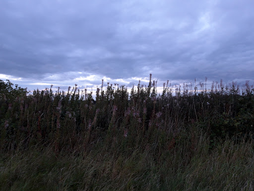 Hollidays Hill - Thumbnail