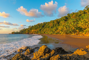 Photo n°4 de ECM Voyages à Saint-Dié-des-Vosges (Agence de voyages)