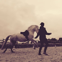 Photo n°1 de Ballade des Sens à Québriac (Club d'équitation)