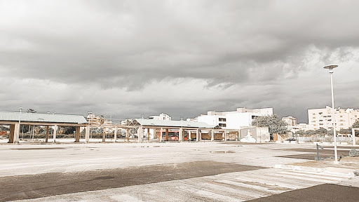 A.T.M. Trapani - Visual