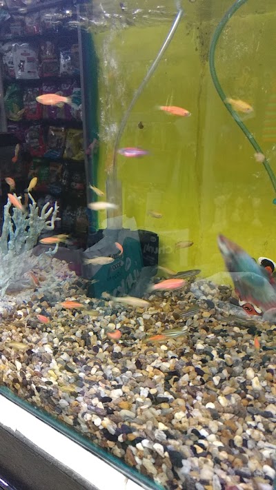 Photos of Veterinaria Argos