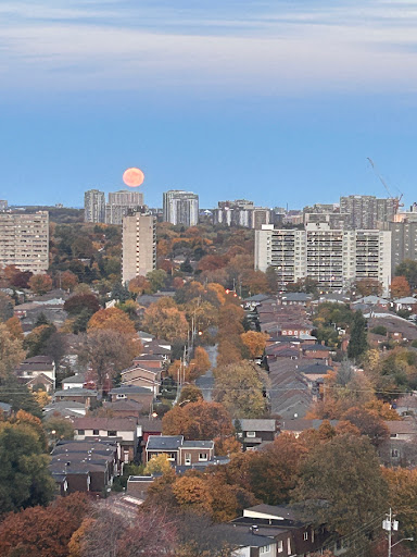 Sheppard Ave E Mall - Thumbnail