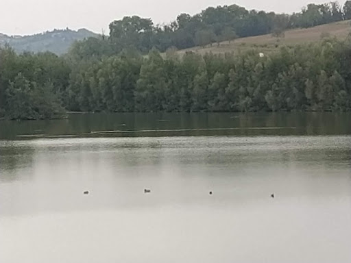 Stamperia Tessuti Marentino - Thumbnail