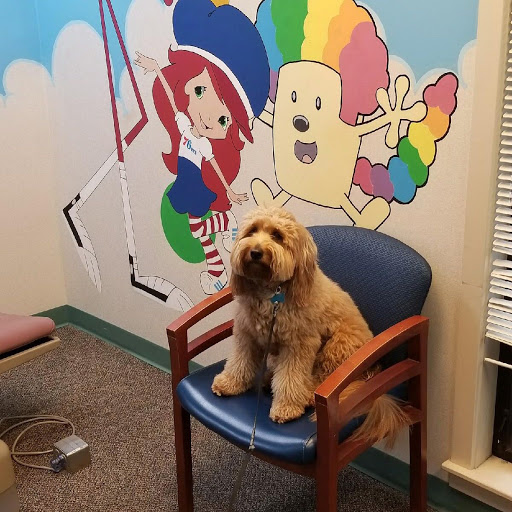 Dentistry For Special People - Thumbnail