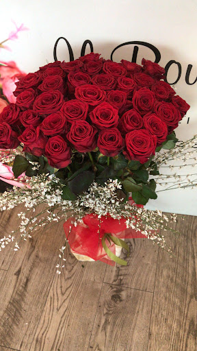 Il Bouquet - Visual