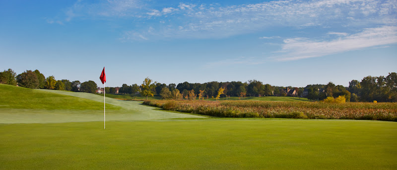 AF1QipPyTriF8BXBl5N0boQnanSoCdktd Sn117 LKB0=w800 h500 k no