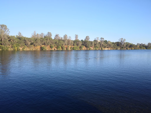 Lake Natoma Island