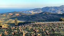 Domaine Sainte Thérèse à Port-Vendres