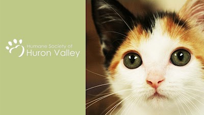 Photos of Humane Society of Huron Valley