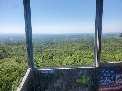 Beebe Hill State Forest - Thumbnail