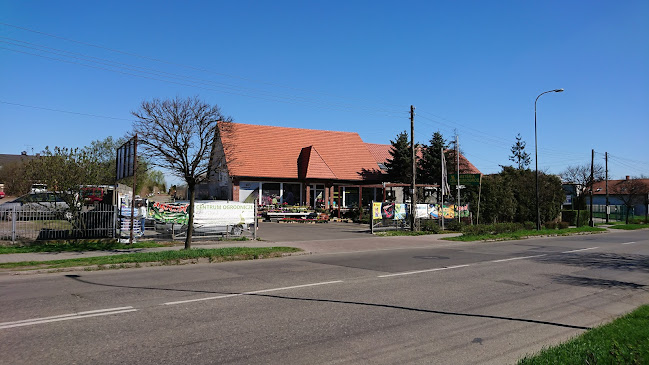 Opinii despre Wisteria în Gliwice - Ogrodnik