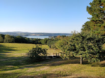 Treemmo-France à Hôpital-Camfrout