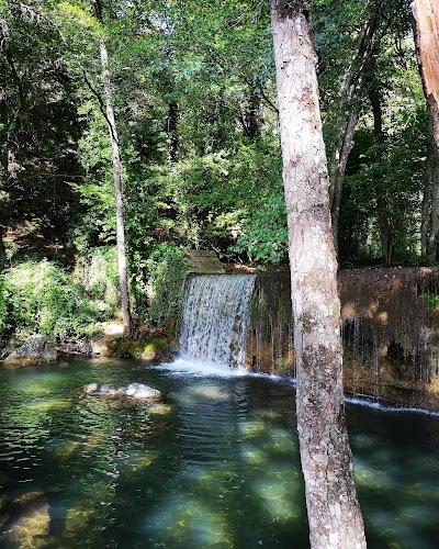 Parco Avventura Pollino