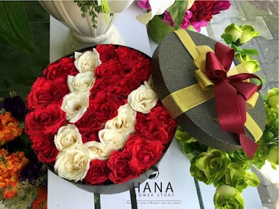 Photos of HANA Flower Story