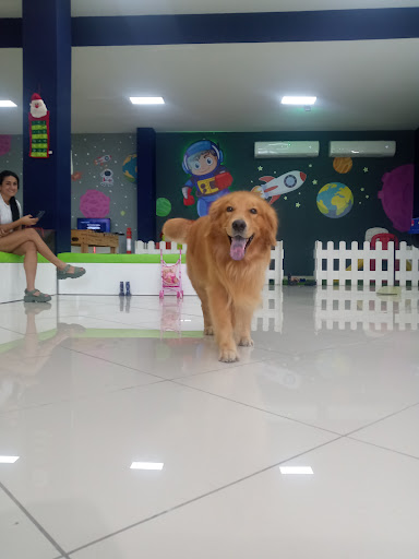 Planet Point | Peluquería Infantil | Plaza Green Park