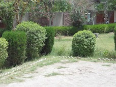 Sheikh Zayed Public School rahim-yar-khan