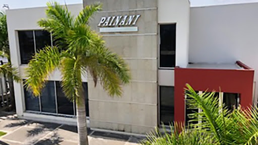 Transportes Painani