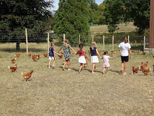 Photo n°27 de A Fourg, la poule est dans le pré à Fourg (Ferme)