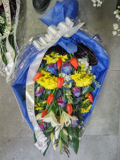 Photos of LO FLORISTA