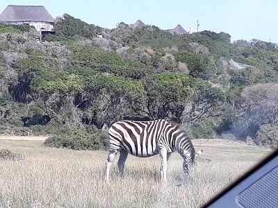 Photos of Seaview Predator Park