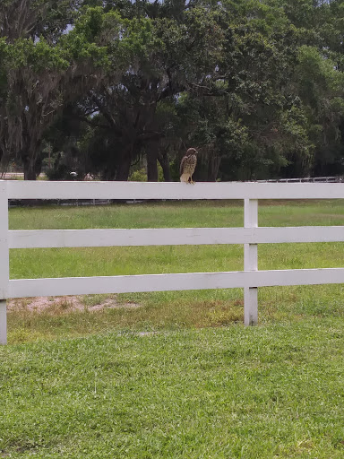 Bay Tree Farm - Visual