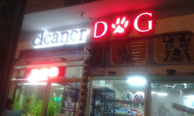 Photos of Cleaner DOG