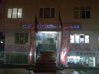 Photos of Ceylan Surucu Kursu