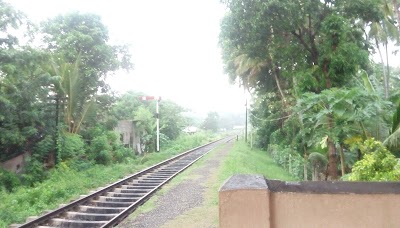 Photos of Thummodara Railway Station