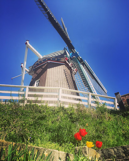 De Immigrant Windmill - Visual