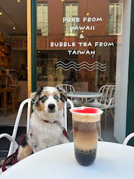 Photo n°13 de ISLAND Poké & Bubble Tea à Charleville-Mézières (Restaurant)