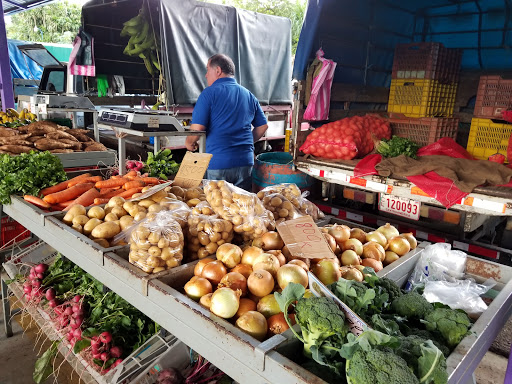 Feria Del Agricultor Grecia DestiMap Destinations On Map