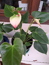 Photo n°10 de l'Eure du jardin à Les Monts du Roumois (Siège social)