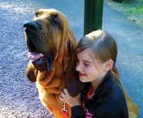 du Hameau Jouas à Vesdun