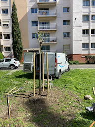Photo n°5 de DG PAYSAGISME à Toulouse (Jardinier)
