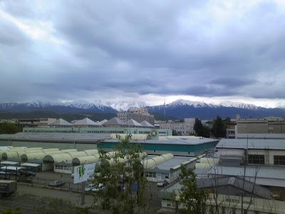 Photos of Atel'ye Mod "Alma"