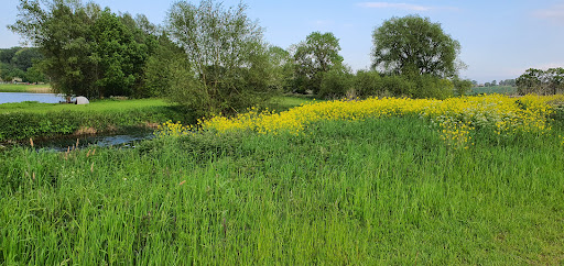 Titchmarsh Nature Reserve - Thumbnail