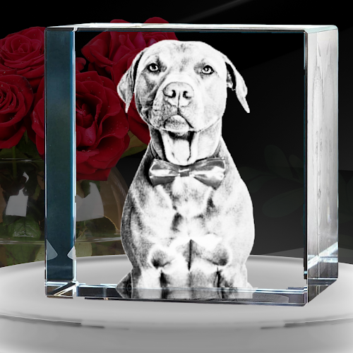 3D Crystal Gifts - Engraved Glass Gifts Trophies Uk