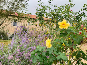 Photo n°38 de Chambres d'hôtes de charme 