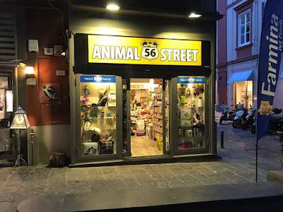 56 Animal Street