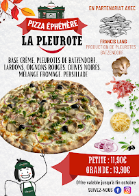 Menu Le Kiosque à Pizzas Wissembourg Page 9