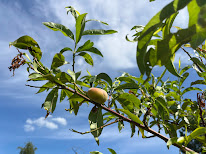 #LaBonneDance à Chauvency-Saint-Hubert