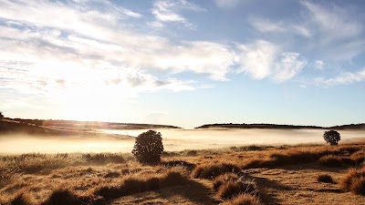 Photos of Horton Plains National Park