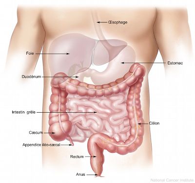 Photos of Dr EL ABBASSI NOUREDDINE. GASTO-ENTEOLOGUE