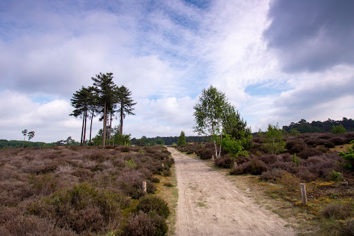 Hike in den Treek - Netherlands